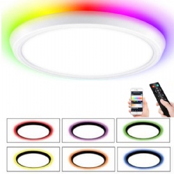 Smart WIFI Ceiling Lamp